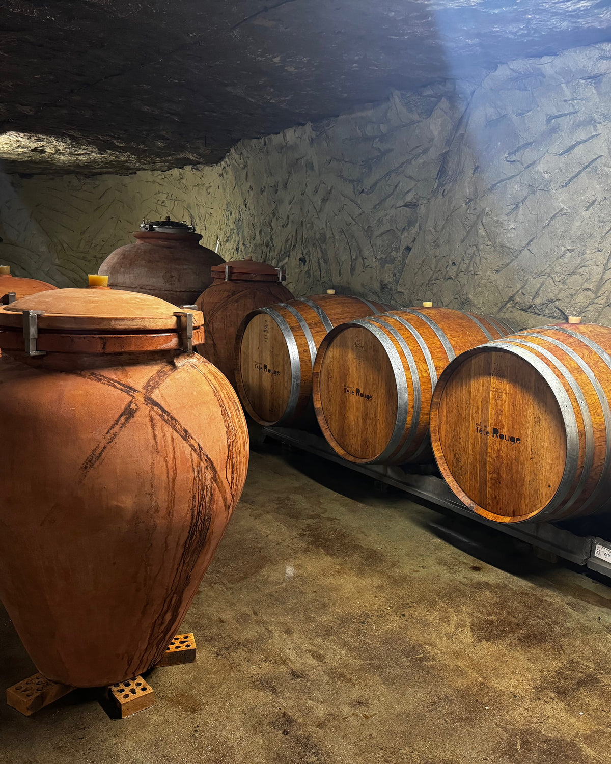 Pratiques en cave