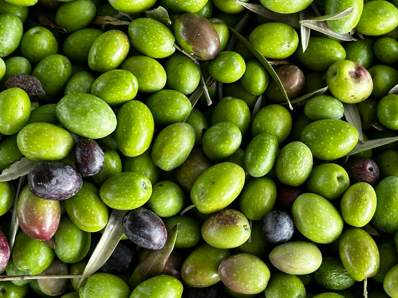 Apéritif — accord mets-vins Free Mousse — Pétillant Naturel