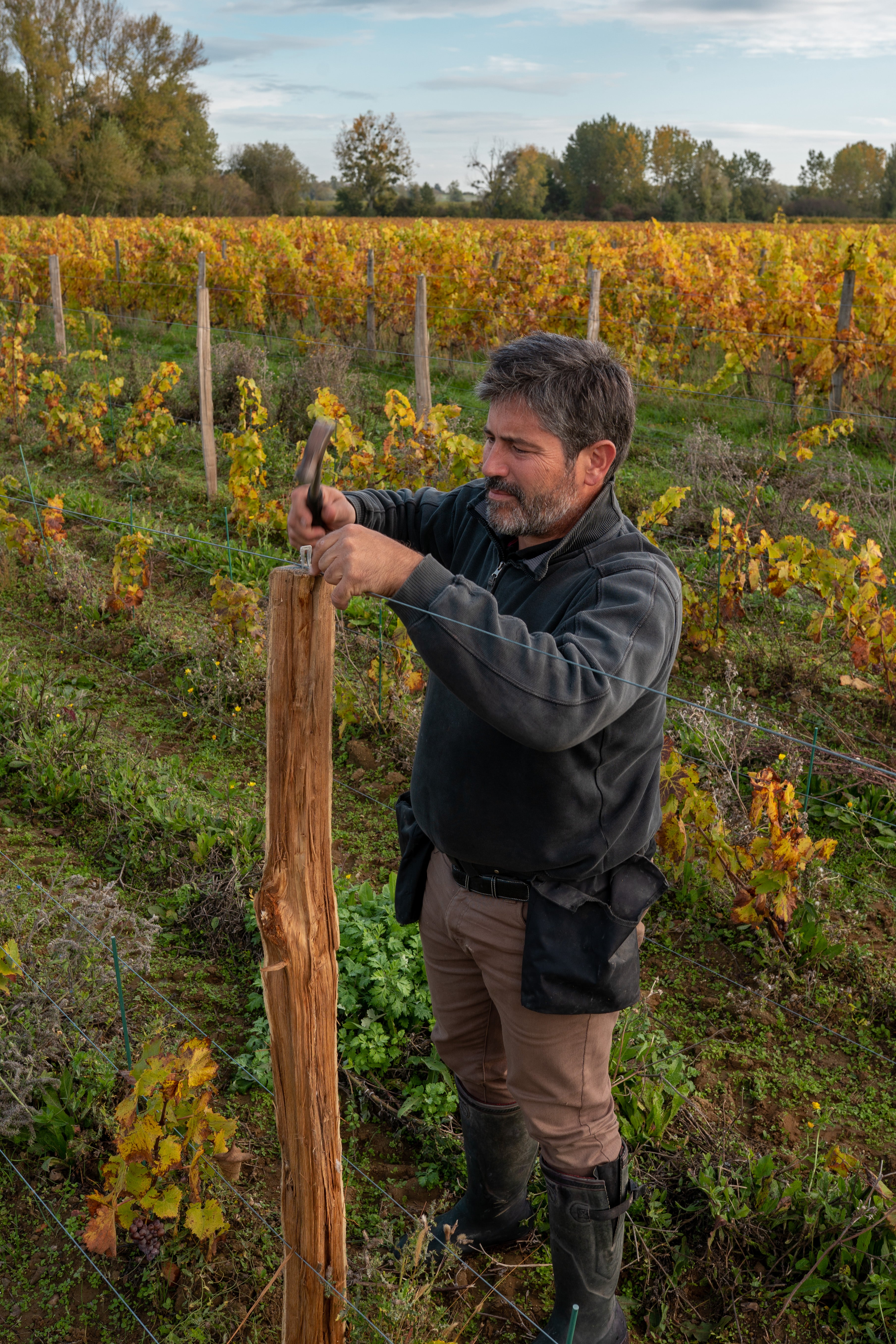 Portrait of Guillaume Reynouard, winemaker — Manoir de la Tête Rouge
