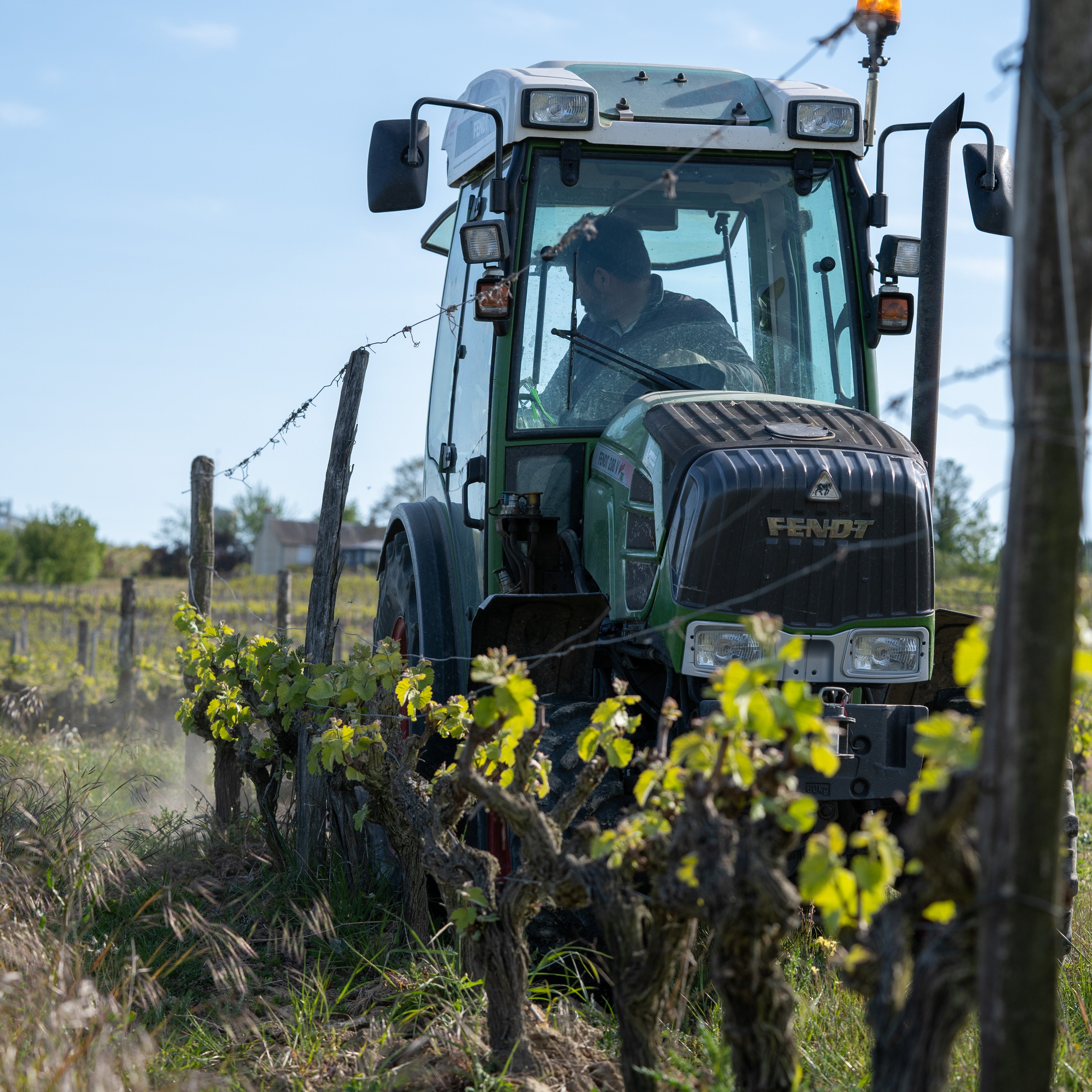 Cultiver la vigne, c'est cultiver la patience. Le sol est notre premier vin.