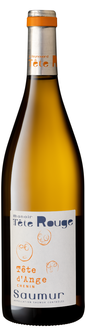 Tête d'Ange — Chenin — bouteille du Manoir de la Tête Rouge — vin biodynamie Saumur Loire