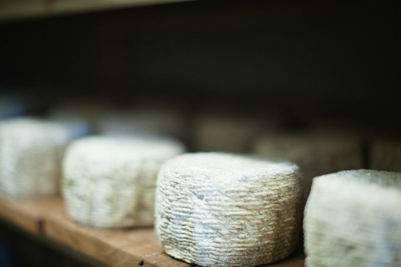 Fromages de chèvre demi-secs — accord mets-vins Free Mousse — Pétillant Naturel