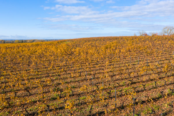 Vue drone Enchentoir