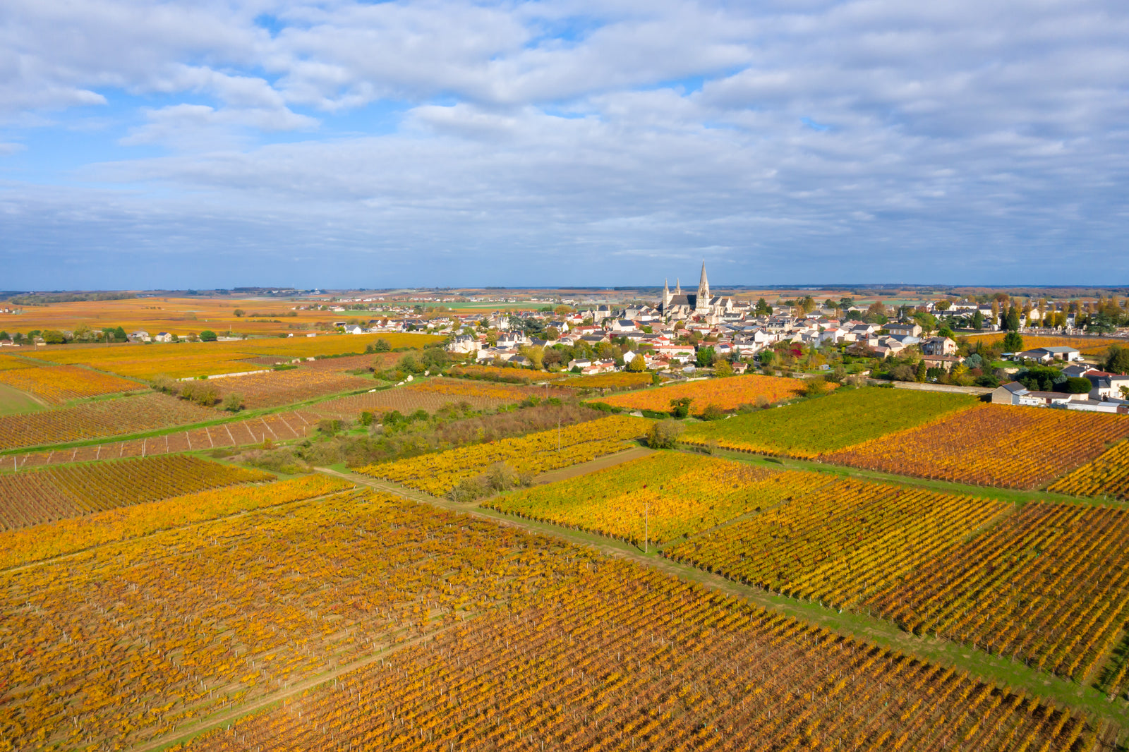 View of Manoir de la Tête Rouge through the vines — Saumur, Loire